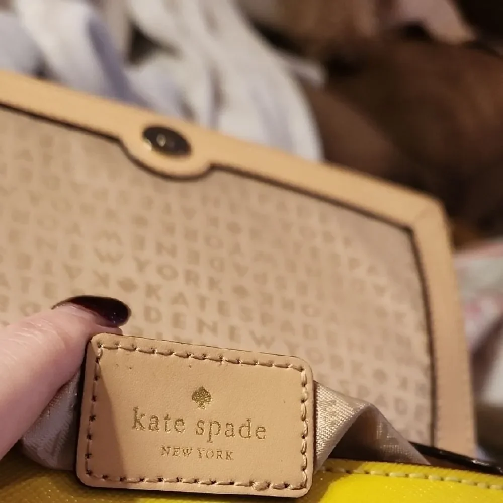 Kate Spade Colorful Striped Crossbody Bag